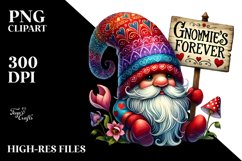 Detailed Valentines Gnome with Heart PNG Product Image 2