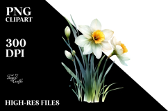 Narcissus Watercolor Splash PNG Product Image 2