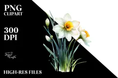 Narcissus Watercolor Splash PNG Product Image 2