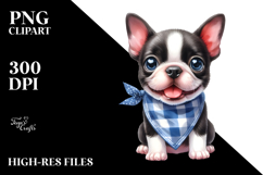 Cute Boston Terrier, Transparent PNG Product Image 2