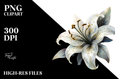Sublimation|Clipart Product Image 2
