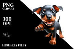 Cute Baby Doberman Pinscher Product Image 2