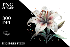 Lily Watercolor Splash PNG Product Image 2