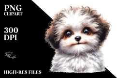 Happy Baby Bichpoo PNG Product Image 2