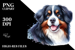 Cute Bernese Mountain Dog PNG Product Image 2