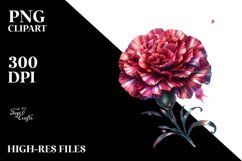 Glossy Shiny Carnation Splash Product Image 1