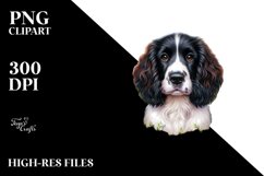 Colorful English Springer Spaniel Clipart Product Image 1