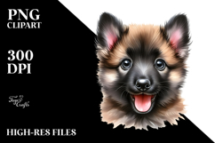 Baby Malinois with Crazy Fur, Transparent PNG Product Image 2