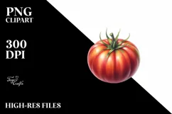 Watercolor Vintage Hat Tomato Clipart Product Image 1