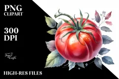 Watercolor Vintage Hat Tomato Clipart Product Image 1