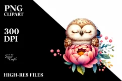 Colorful Baby Owl Watercolor Clipart Product Image 1