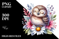 Colorful Baby Owl Watercolor Clipart Product Image 3