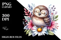 Colorful Baby Owl Watercolor Clipart Product Image 3