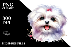 Happy Baby Maltese with Big Eyes PNG Product Image 2