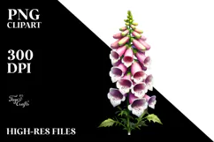 Foxglove made of PNG Product Image 2