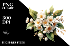 Jasmine PNG Product Image 2