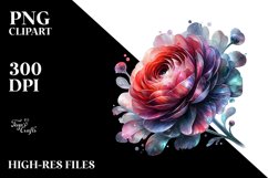 Shiny Ranunculus Watercolor Splash Product Image 3