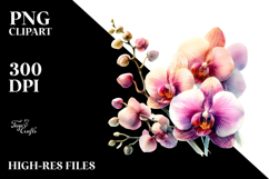 Vibrant Small Orchid | Clipart Product Image 2