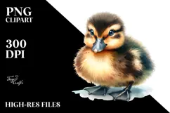 Baby Duck, Transparent PNG Product Image 2