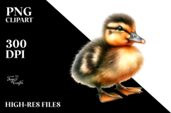 Baby Duck, Transparent PNG Product Image 2
