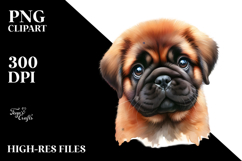 Happy Baby Bulldog, Transparent PNG Product Image 2