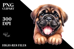 Baby Bullmastiff Cartoon PNG Product Image 2