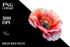 Poppy Watercolor Splash PNG Product Image 2