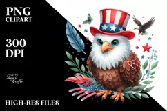 USA, 4th July, Patriotic, Eagle Clipart Product Image 7