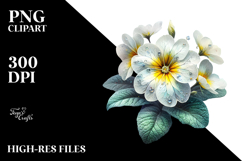 Primrose, Watercolor PNG Product Image 2
