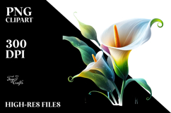 Calla Lily Watercolor Splash PNG Product Image 2