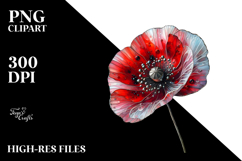 Poppy PNG Product Image 2