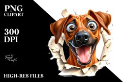 Funny Crazy Rhodesian Ridgeback | Sublimation | Clipart Product Image 3