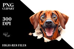 Crazy Rhodesian Ridgeback Watercolor Sticker Product Image 3