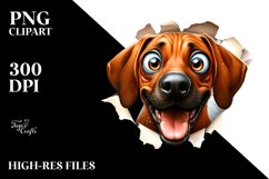 Funny Crazy Rhodesian Ridgeback | Sublimation | Clipart Product Image 3