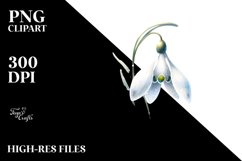 Snowdrop PNG Product Image 2