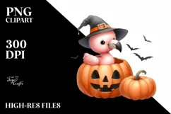 Cute Baby Flamingo PNG Product Image 3