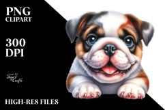 Happy Baby Bulldog, Transparent PNG Product Image 2