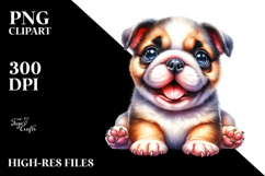 Happy Baby Bulldog, Transparent PNG Product Image 2