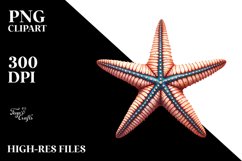 Sublimation|Clipart Product Image 1