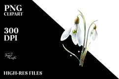 Snowdrop with Golden Insertions, High-Res PNG Product Image 2
