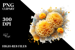Marigold with Watercolor Splash PNG Product Image 2