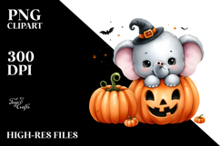 Cute Baby Elephant PNG Product Image 2