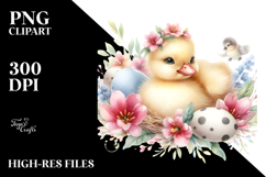 Cute Baby Chicken PNG Product Image 2