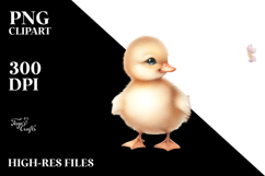 Cute Baby Chicken PNG Product Image 2