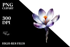 Watercolor Splash Glossy Crocus | Sublimation | Clipart Product Image 1