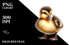 Cute Baby Duck, Transparent PNG Product Image 2