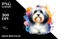 Cute Colorful Havanese Watercolor | Sublimation | Clipart Product Image 1