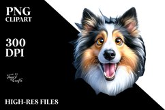 Crazy Looking Collie Product Image 3