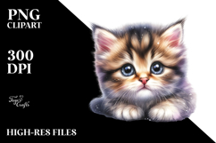 Energetic Baby Kitten PNG Product Image 2