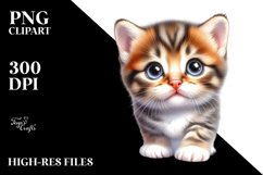 Energetic Baby Kitten PNG Product Image 2